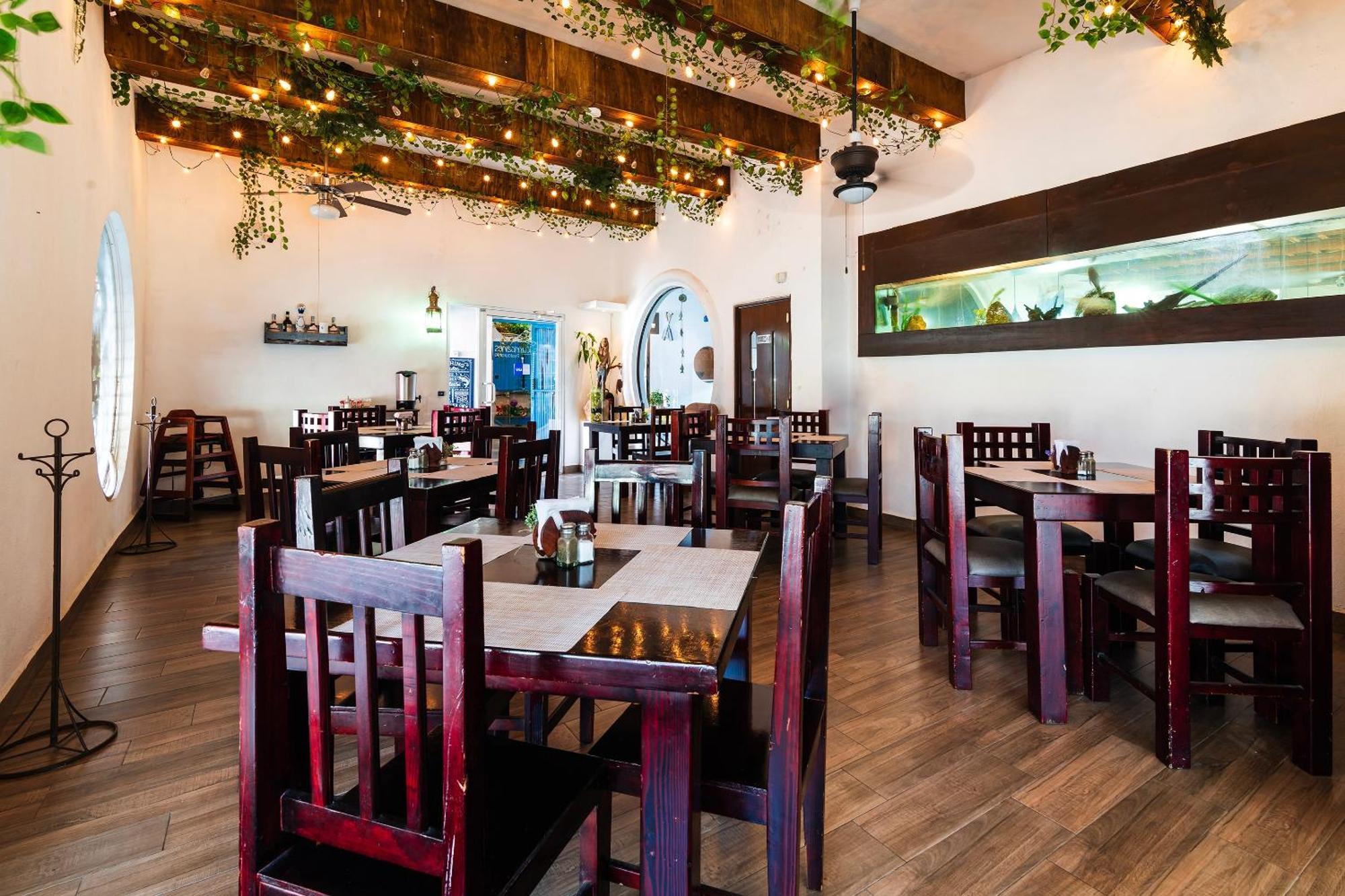 Oyo Posada Del Pescador Cabo San Lucas Exteriör bild